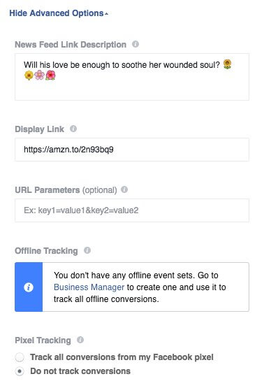Facebook Ad Guide: Advanced Options