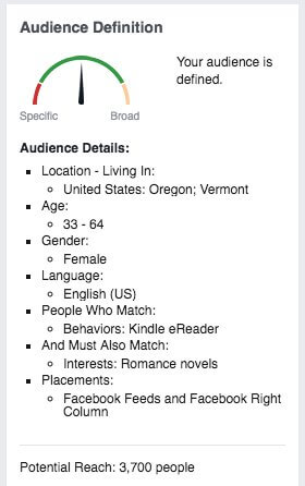Facebook Ads Guide: Audience Definition