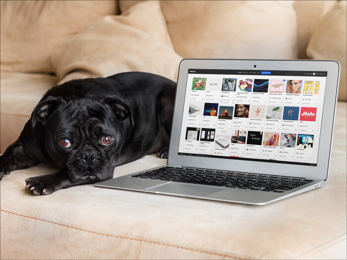 Macbook Air Mockup With Dog