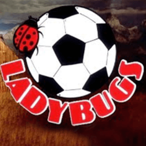 Ladybugs Soccer Logo
