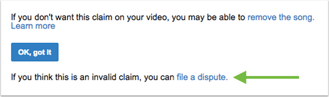 Click The File A Dispute Option