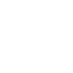 Skull representing día de muertos in mexico