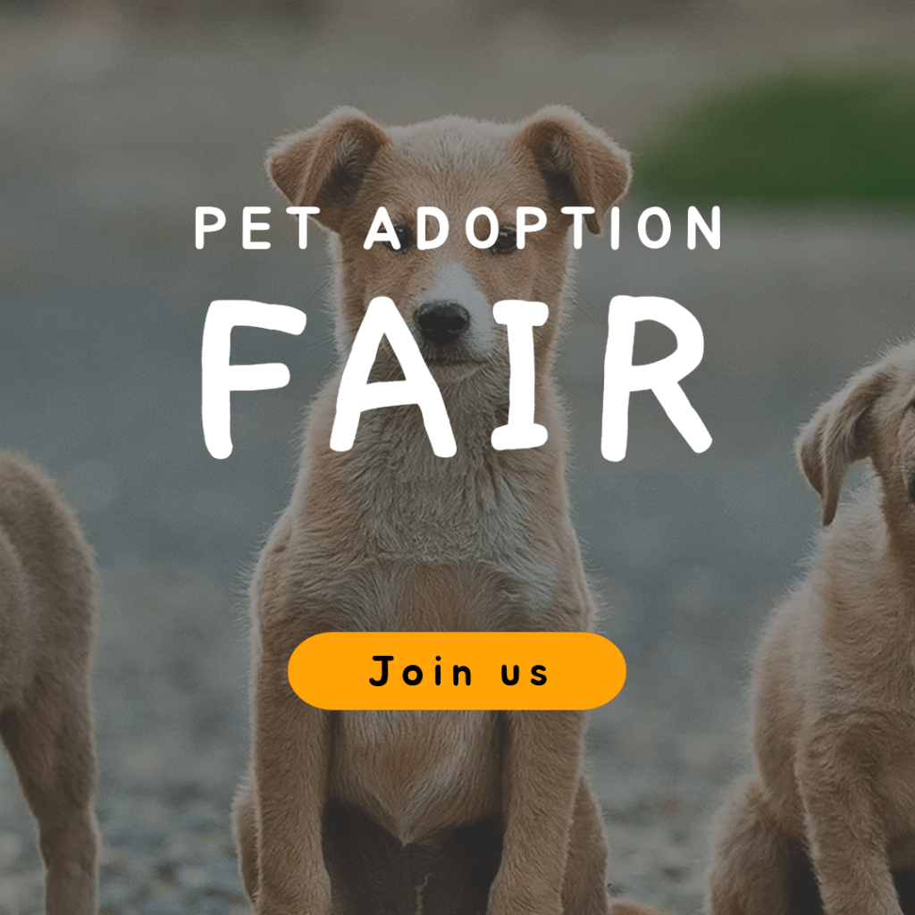 Online Banner Generator For A Pet Adoption Fair