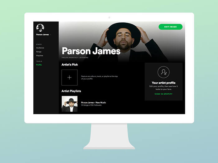 Profile Tools In Spotify For Artists-Music Platforms