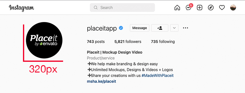 Instagram Logo Size Example