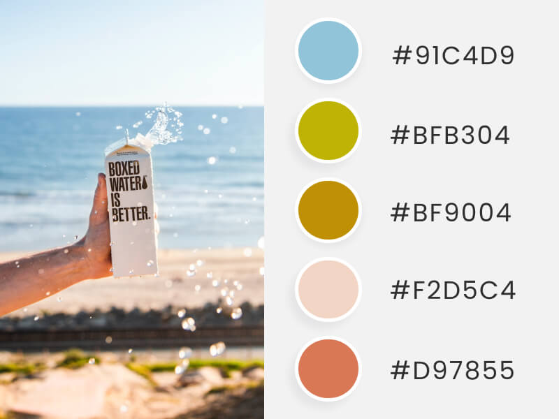 A summer color palette inspired by a hand holding a water box in front of the ocean