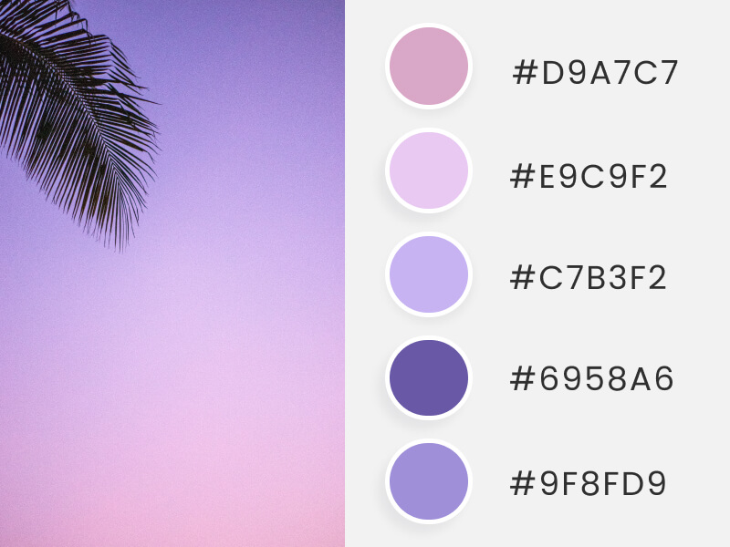 A summer color palette inspired by a lavender sky