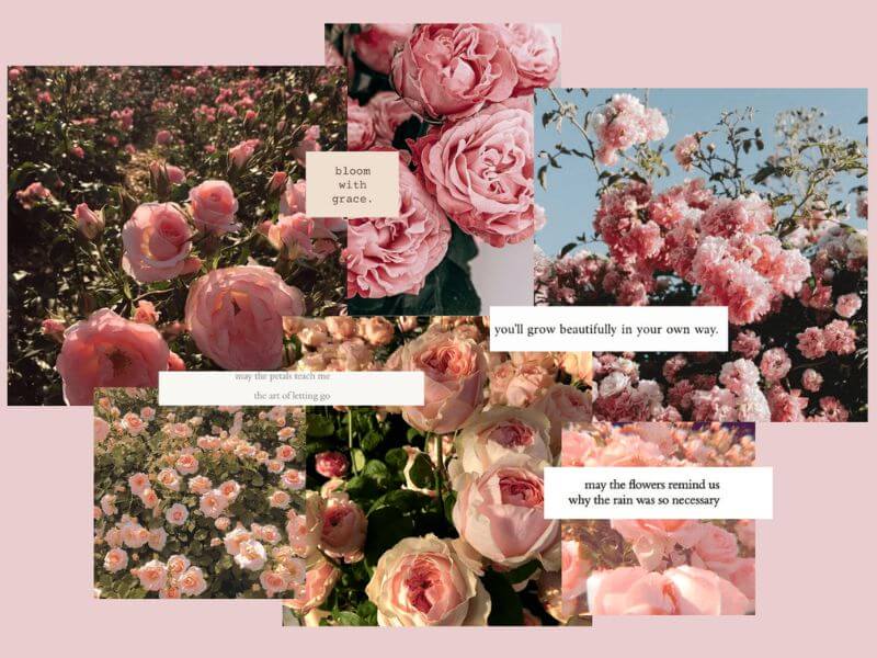 Flower Moodboard By Alice Wilson On Behance