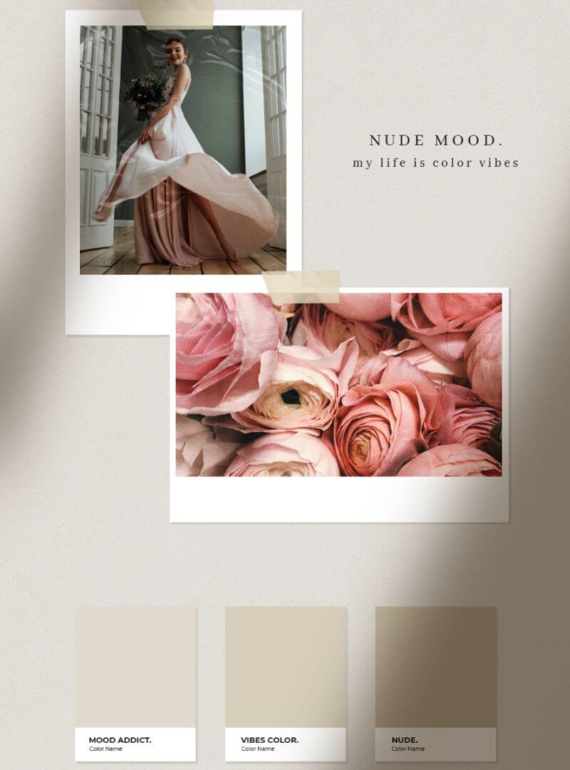 A moodboard template featuring some beige and natural colors and elements