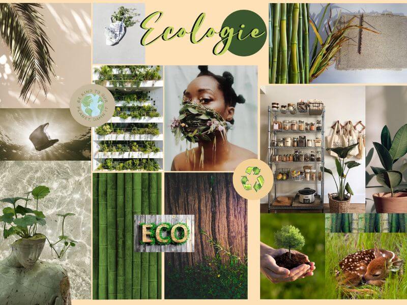 Moodboard Ecology By Angélique Taddei On Behance