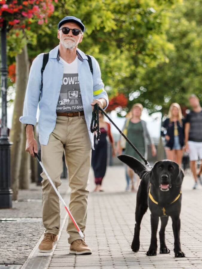 Mockup of a blind man accompanied by his guide dog