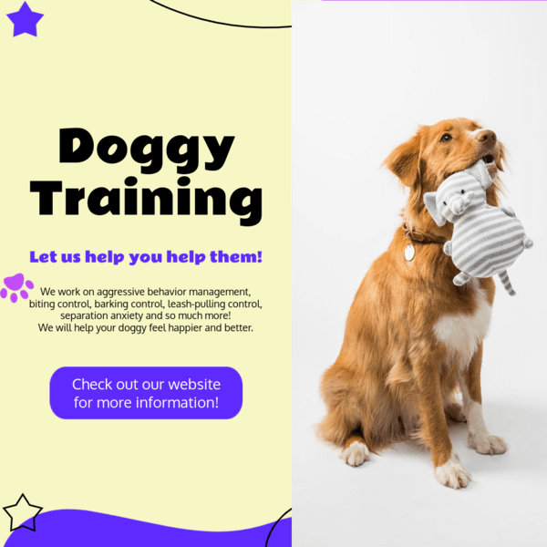 Small Business Instagram Post Creator For A Dog Training Service 5191f