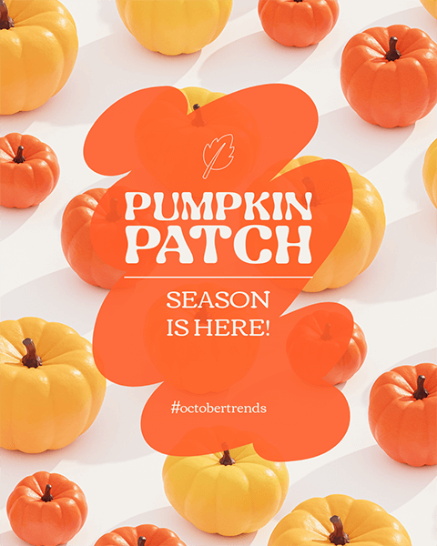 Thanksgiving Themed Instagram Post Design Template For Announcing The Pumpkin Patch Season