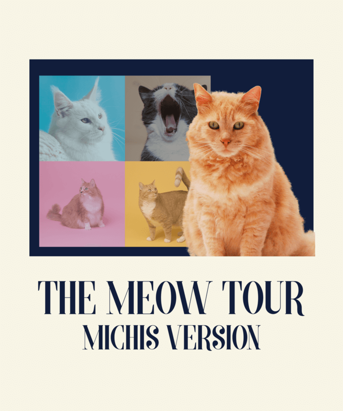 T Shirt Design Creator With A Cat Theme Inspired By Taylor Swift's Eras Tour