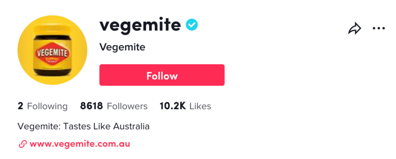 Tiktok Vegemite Bio Example