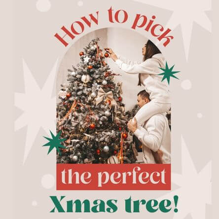 Christmas Themed Instagram Post Maker For A Tree Promo Sale