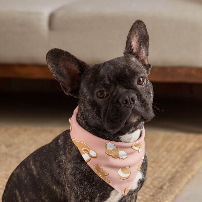 Pet Bandana