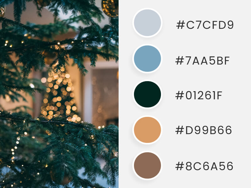 Winter Color Palettes - a blurred christmas pine with lights background