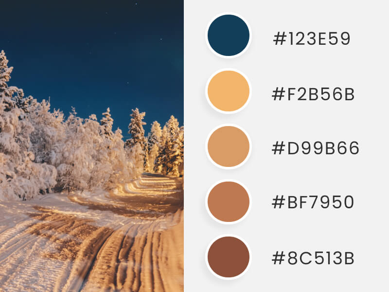 Winter Color Palettes - a magical and bright winter at nightime