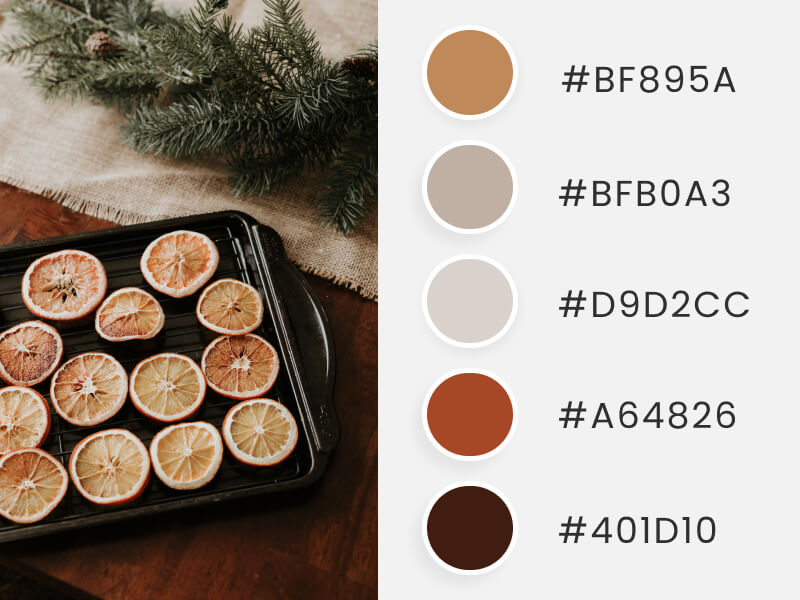 Winter Color Palettes - some dried oranges for a hot beverage
