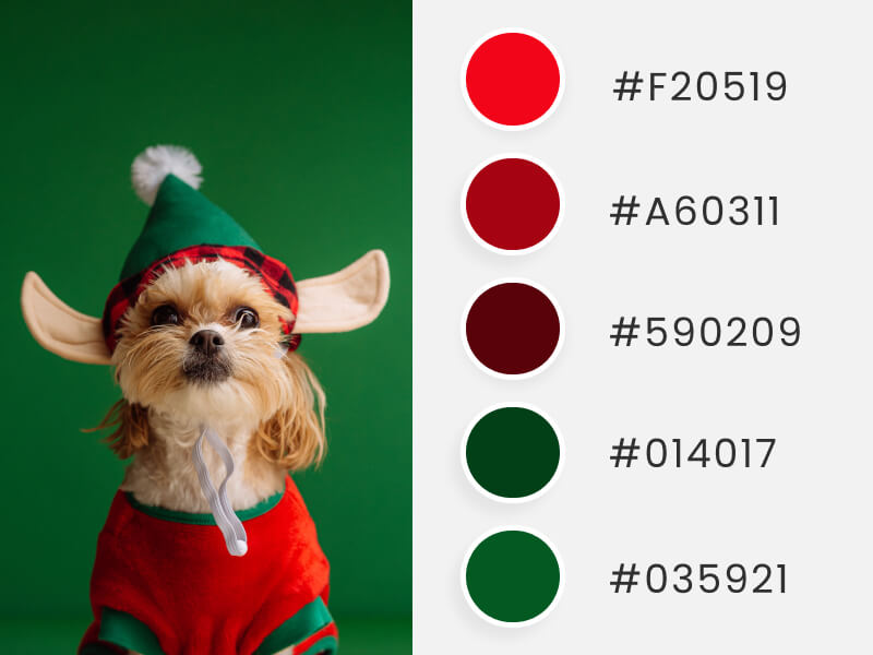 Winter Color Palettes - a cute doggy dressed as a Santa's elf
