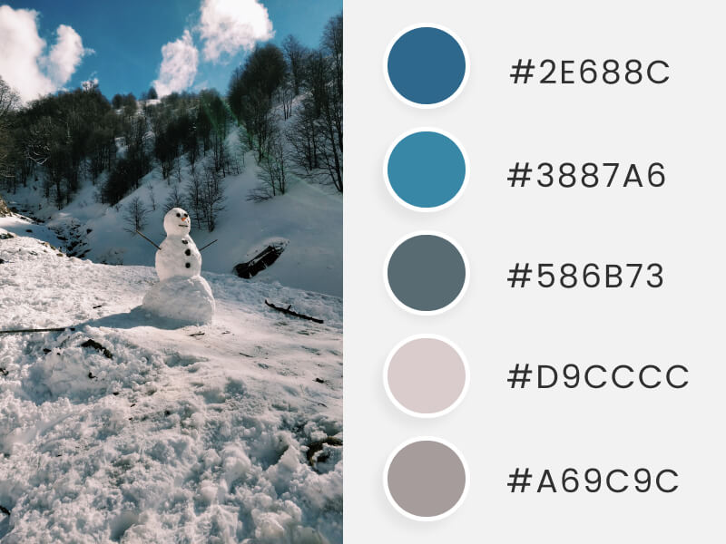Winter Color Palettes - a snowman in a winter field