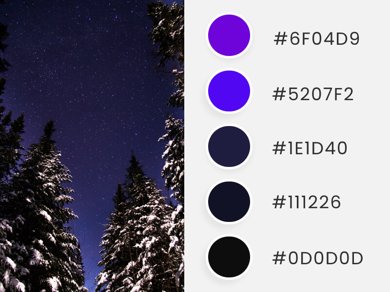 Winter Color Palettes - a dark night in the winter time