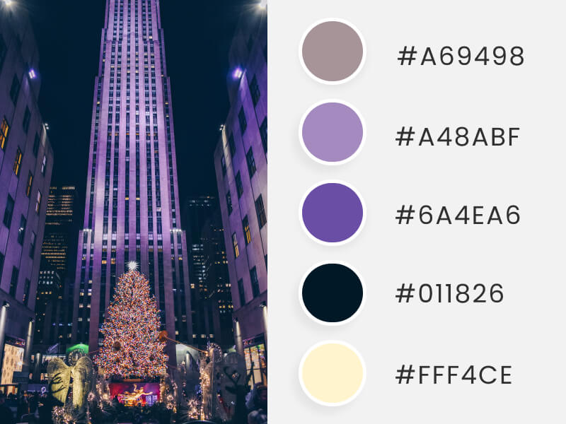 Winter Color Palettes - winter time in new york