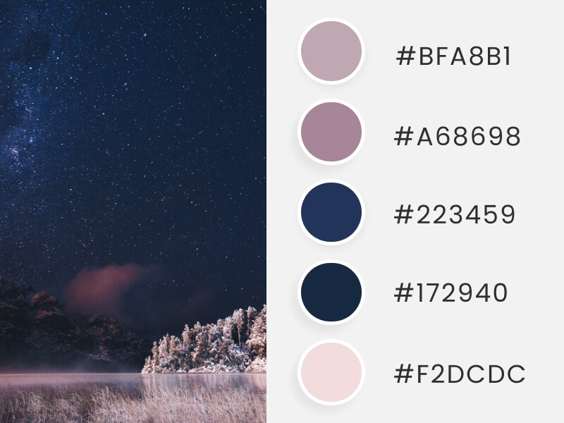 Winter Color Palettes - beautiful trees during a cold winter