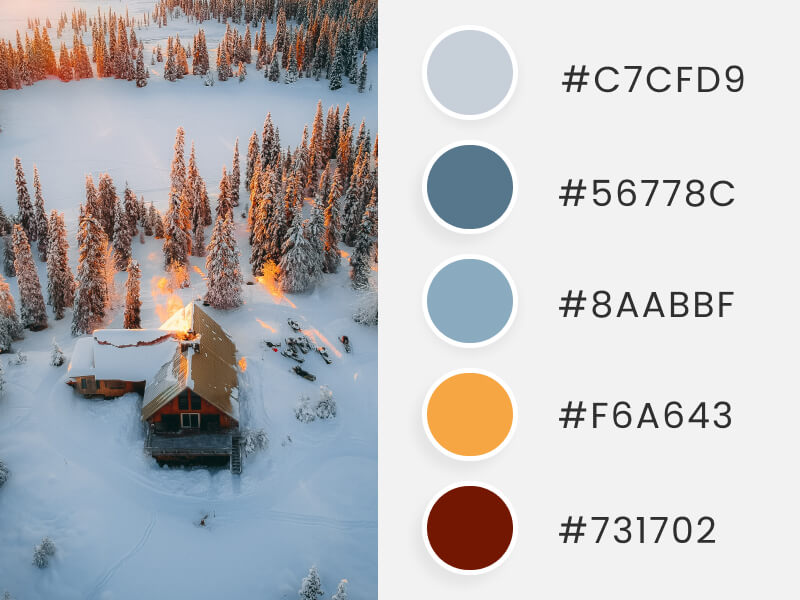 Winter Color Palettes - a house in between a winter forest