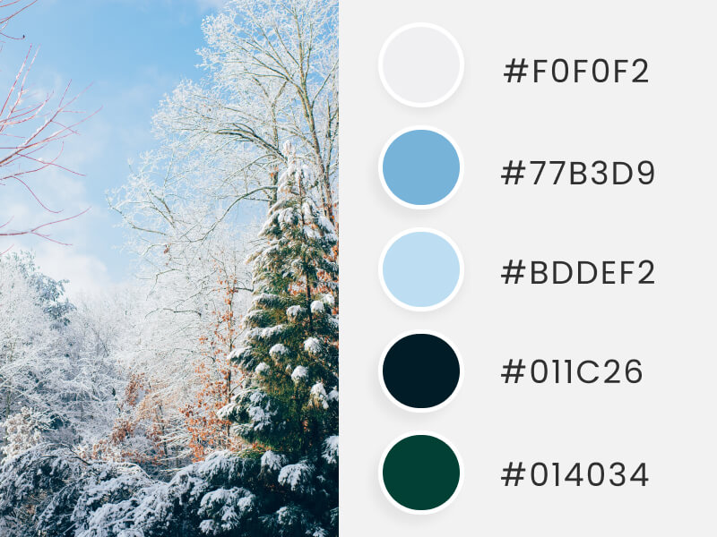 Winter Color Palettes - pine trees covered with snow