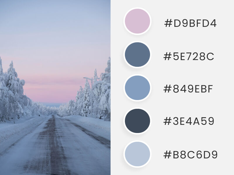 Winter Color Palettes - a cold winter path
