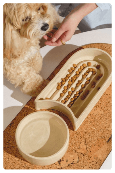 A Slow Dog Feeder In Neutral Tones With Some Pet Food On It And A Cute Dog Besides It As Part Of The List Of The 2024 Best Dropshipping Products