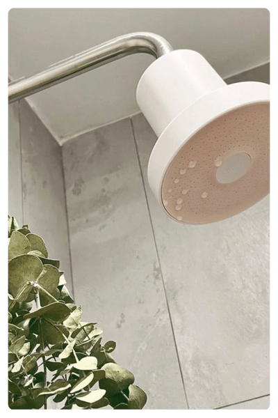 A Water Shower Filter In A Neutral Color With Some Natural Plants Around It As Part Of The List Of The 2024 Best Dropshipping Products
