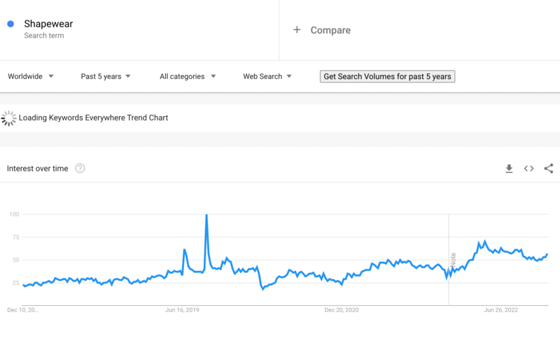 Dropshipping Products Shapewear on Google Trends 2023