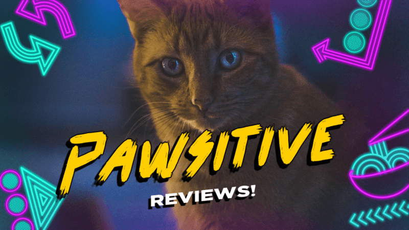 Youtube Thumbnail Creator Inspired By The Video Game Stray Featuring A Cat Photo 4809 4932a