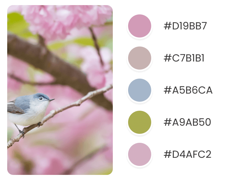Light Spring Color Palettes Bird