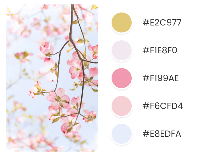 Light Spring Color Palettes Blossoms