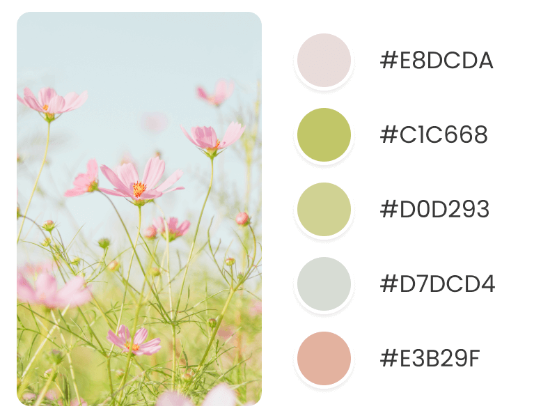 Light Spring Color Palettes Flowers