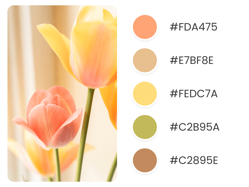 Light Spring Color Palettes Tulip