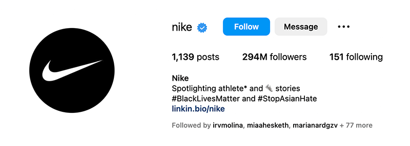 Nike profiili