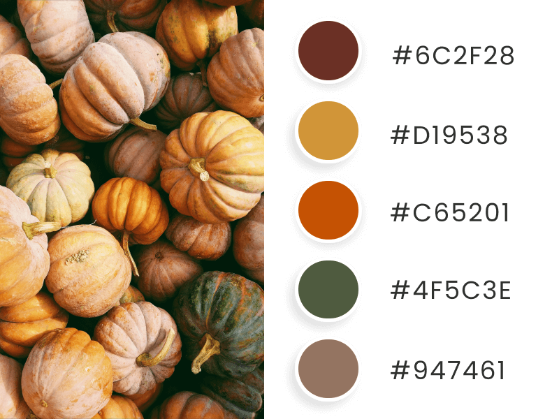 Autumn Aesthetic Palette