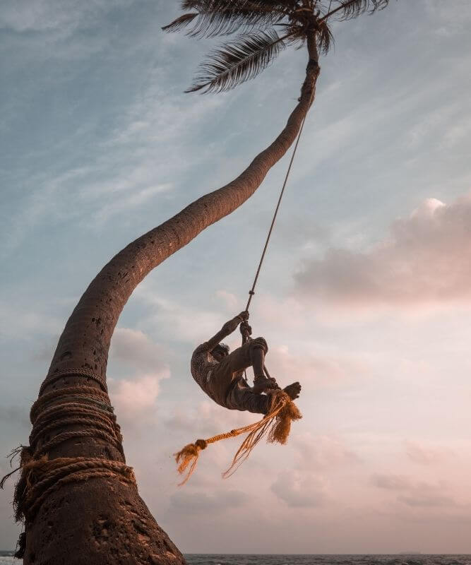 An Adventurous Travel Content Creator Swinging From A Palm Tree