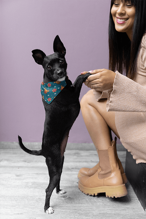 Bandana Mockup Featuring A Cute Dog Being Held By A Woman