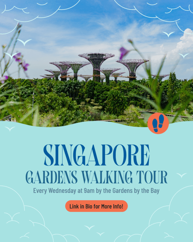 Boho Instagram Post Template For A Singapore Gardens Walking Tour