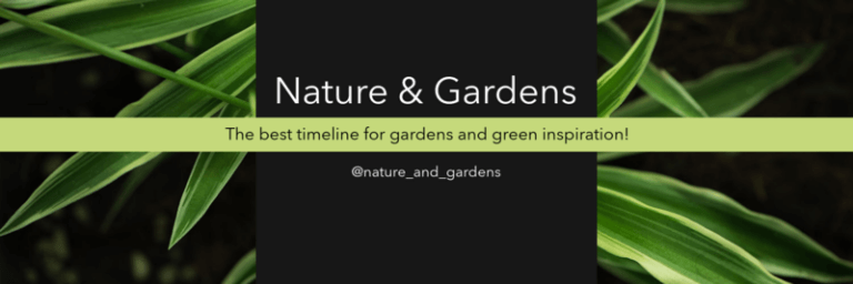 Twitter Header For A Nature Account