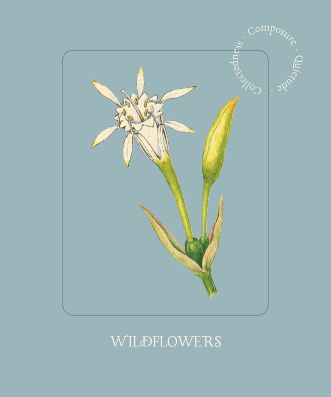 Illustrated T Shirt Design Featuring A Wildflower Clipart