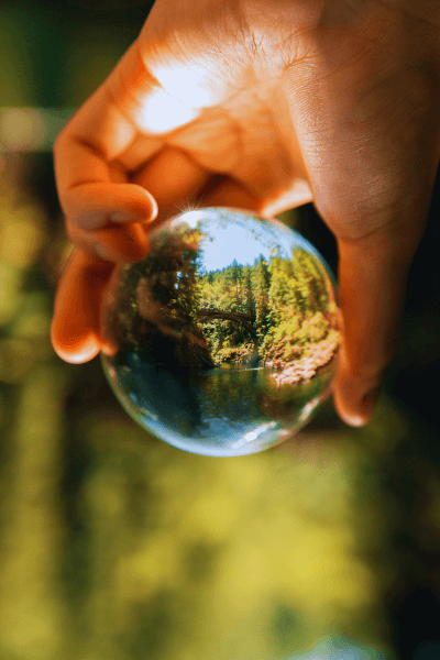 A Person Holding A Water Bubble Reflecting A Green Forest Background With A Blurry Green Background Behind