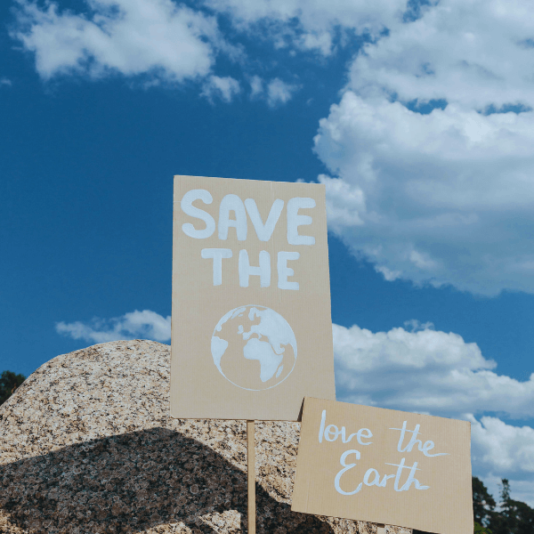 A ‘save The Earth’ Message Painted On Recyclable Cardboard Paper With A Blue Sky In The Background