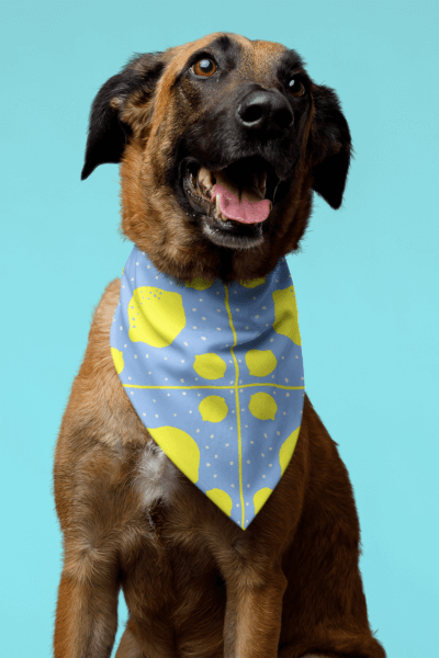 Mockup Of A Sublimated Bandana Featuring An Adorable Dog